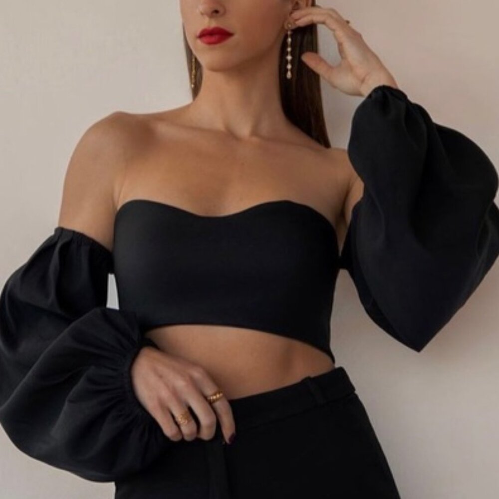 Zara Crop Top Puff Balloon Sleeves